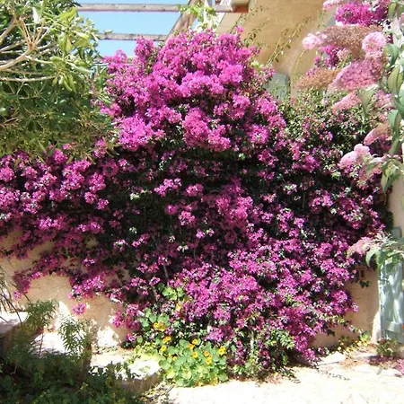 Villa Le Sud Les Issambres