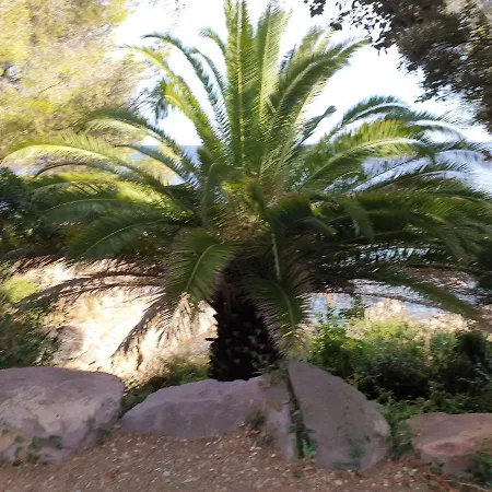 Le Sud